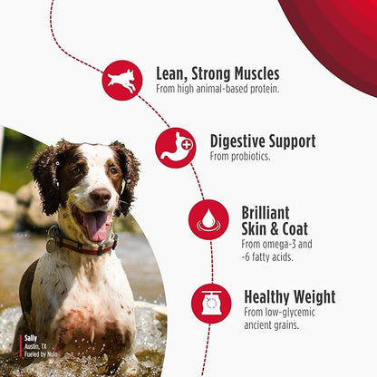 Nulo Frontrunner Dry Dog Food - Adult High-Protein Turkey, Trout & Spelt Recipe, Natural Kibble with Ancient Grains, Probiotics, Taurine, Omega 3 for Small, Medium and Large Breeds, 25lb Bag