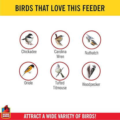 More Birds Double Suet Feeder with Weather Guard,6.5" L X 4.25" W X 7.25" H,Brown,(Pack of 4)