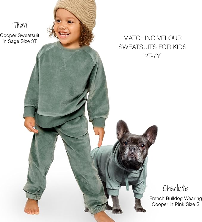 Pet Passion Cooper II Organic Cotton Velour Dog Hoodie Pet Coat for Small, Medium and Large Dogs, Sage, Medium (20-45 lbs)