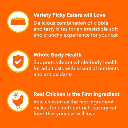 IAMS Healthy Enjoyment Dry Cat Food Chicken & Salmon Recipe, Cat Food Dry Recipe, 6 lb. Bag