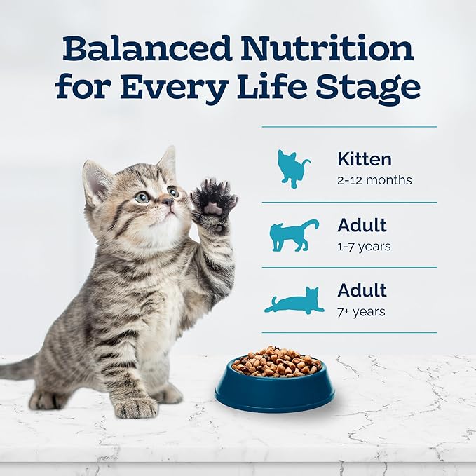 Blue Buffalo Tastefuls Kitten Food With DHA Dry Cat Food Made in the USA with Natural Ingredients, Chicken Recipe, 7-lb. Bag