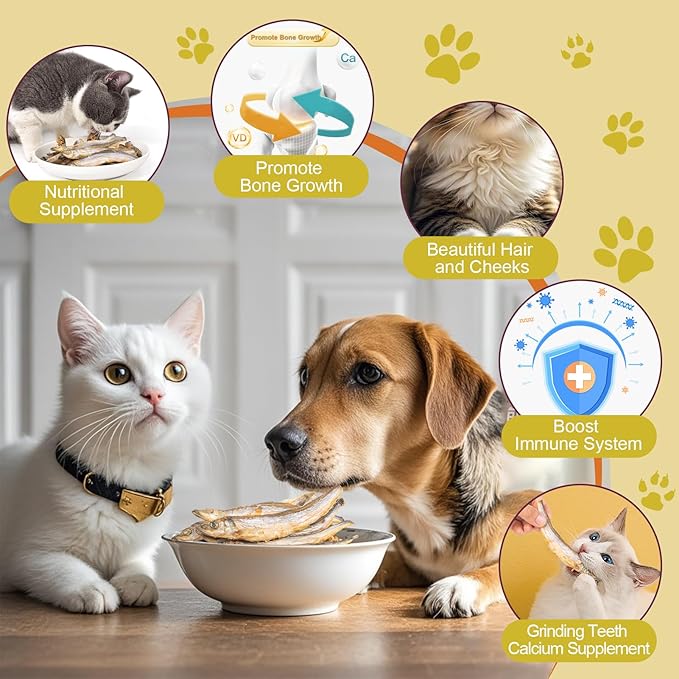 Dylan's cabin Freeze Dried Capelin Fish - Single Ingredient Cat and Dog Treats Natural Animal Protein Healthy Tasty Snacks for Training (85g)