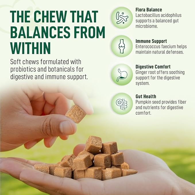 Probiotics for Dogs 120 Chews - Digestive Enzymes & Gut Health Support with Pumpkin Seed, Ginger Root – Dog Probiotics for Diarrhea, Bowel & Immune Support - Bacon Flavor, Soft Chews