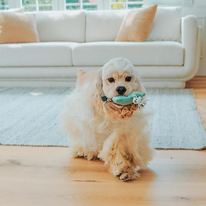 Green Sheep Squeaky Avocado Dog Toy, Plush Puppy Toys for Small Dogs to Keep Them Busy, Eco-Friendly Recycled Cotton Rope Pet Toy