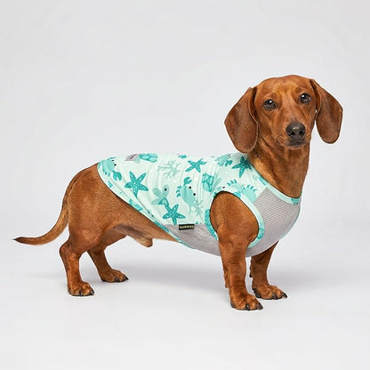 Fitwarm 2 Pack Marine UPF 50+ UV Sun Protection Dog Shirt, Lightweight Cooling Vest, Quick Dry Summer Clothes for Small Dogs Boy Girl, Pet Outfit, Sky Blue, Mint Green, Medium