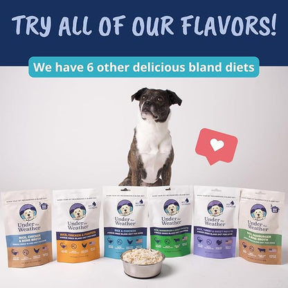 Under the Weather Bland Diet for Dogs | Easy to Digest for Sick Dogs |Always Be Ready| Contains Electrolytes - All Natural Freeze Dried 100% Human Grade Meats| 2 Pack- Rice Turkey & Sweet Potato - 6oz