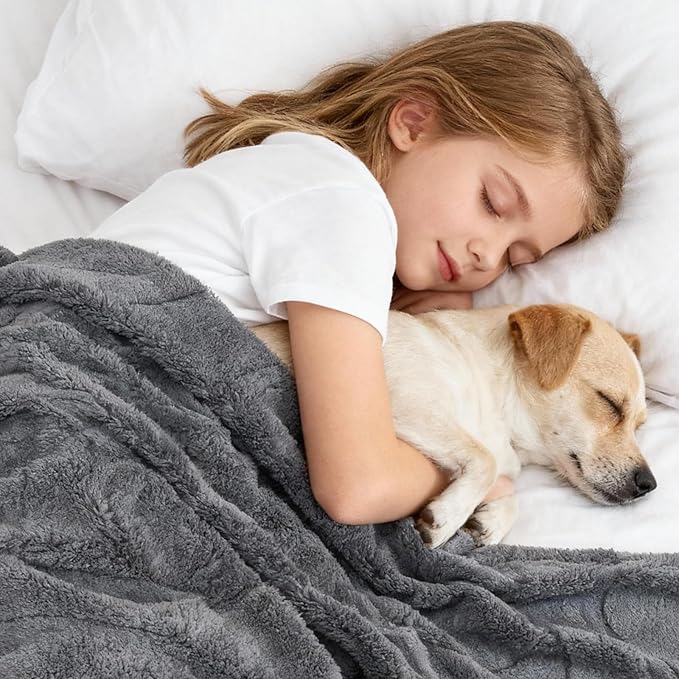 Waterproof Dog Blanket for Small Dog – Double Sided Washable Cat Puppy Blanket, Soft, Warm, Pet Throw Essentials, Grey M(40×28)"