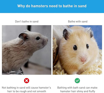 Hamster Small Animal Sand Bath Box Bathtub Critter's Bathroom with Bath Sand and Scoop Accessories for Mice Hedgehog Lemming Gerbils or Other Small Pets (Large)