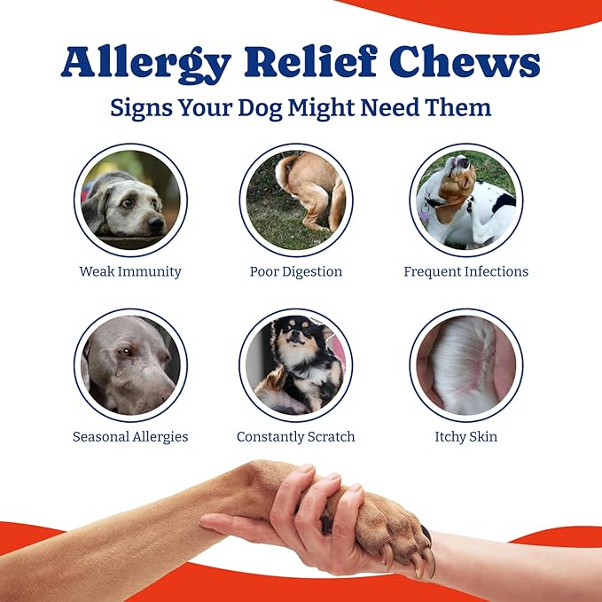 Dog Allergy Relief Chews – 180 Soft Chews, Duck & Pear Flavor - Immune Support & Itch Relief with Colostrum, Astragalus Root, 6-Strain Gut Health Blend