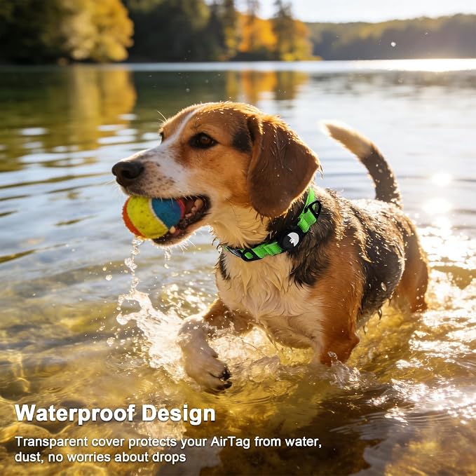 Taglory AirTag Dog Collar with Waterproof Holder for Medium Dogs, Green, M | Reflective for Night Walks & Low-Light Safety, Track Your Pup Peace of Mind, Adjustable Soft Padded, No More Dangling Tags