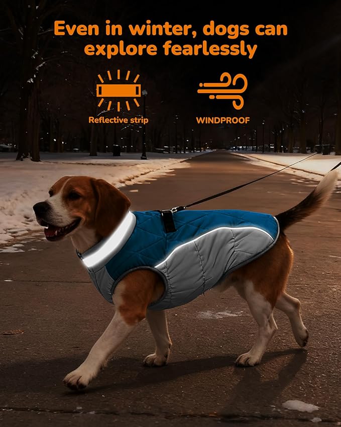 Dog Winter Coat for Medium Dogs, Adjustable Puppy Warm Jackets in Cold Weather, Reflective Pet Fleece Vest with External Attachment Points, ZippeBlue Cold-Weather Dog Winter Clothes, M Blue