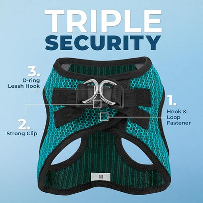 Best Pet Supplies - All Weather Mesh/Plush, Reflective, No Pull Harness for Small, Medium Dogs, Cats - Secure with Hook & Loop Fastener, Buckle, Double D-Rings - Turquoise 2-Tone, XS