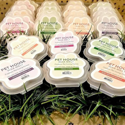 Pet House Candy Cane Scented Holiday Wax Melts - Natural, Long-Lasting, Plant Based Pet Friendly Holiday Wax Melts Pack of 2