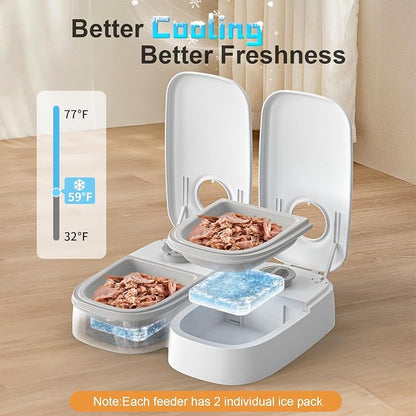 2-Meal Timed Wet Food Pet Feeder for Cats with Ice Packs | 48H Wet Food Dispenser, 700ml Capacity, Battery Powered
