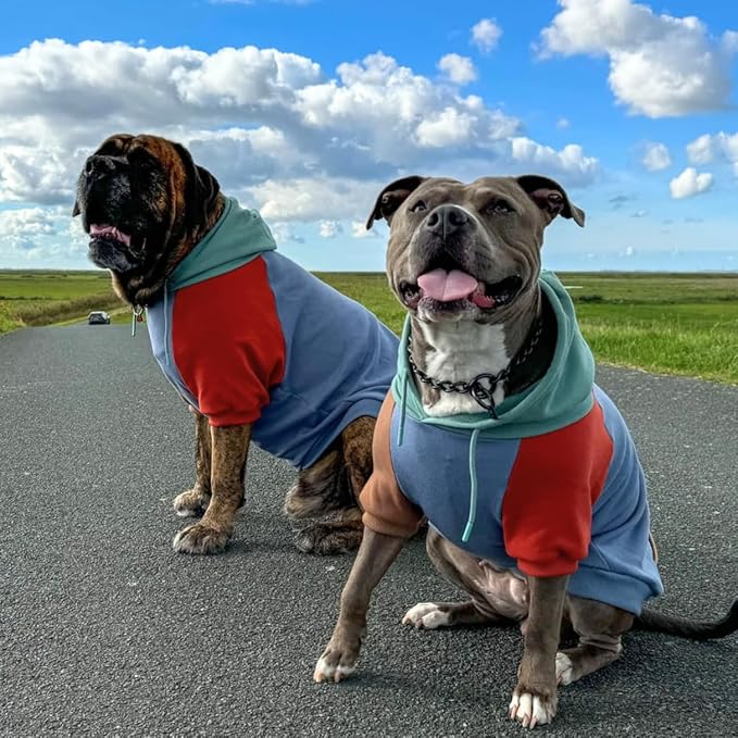 Spark Paws Human Hoodie - Premium Quality, Buttery Soft, Superior Comfort and Fit, Calming Fleece Interior, Suitable for All Styles - Alpine - S