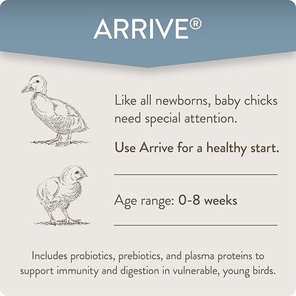 FlockLeader Arrive, Daily Probiotic & Prebiotic Poultry Supplement for Young Chickens 0-8 Weeks Old, 8 oz