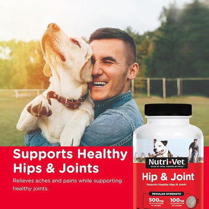 Nutri-Vet Hip & Joint Regular Strength Chewable Dog Supplements, Joint Supplement for Dogs, Chewable Supplement, Formulated with Glucosamine Chondroitin, Pet Supplies, Puppy Essentials, 180 Count