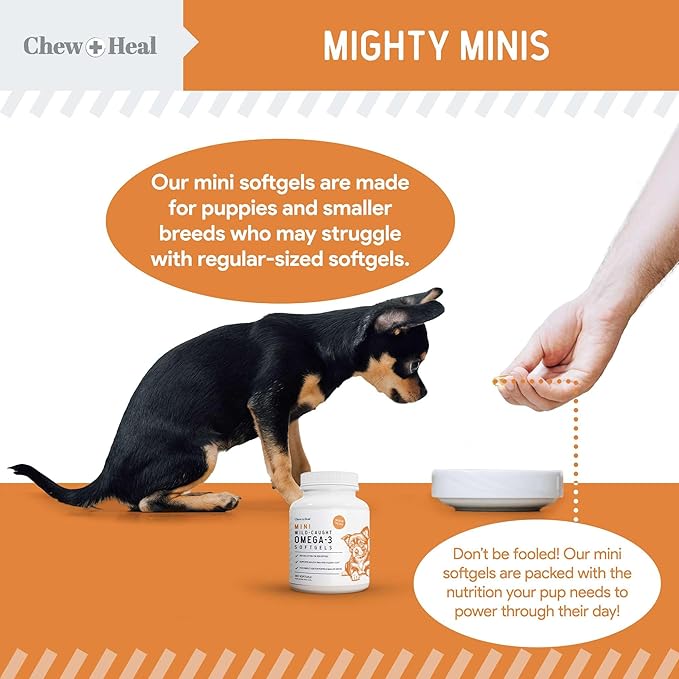 Omega 3 Fish Oil for Dogs Small Breeds & Puppies - 180 Mini Softgels, 300mg Wild Caught Salmon Oil - Skin & Coat, Shedding, Itchy Skin, Hot Spots, Allergies - EPA & DHA - Made in USA - Chew + Heal