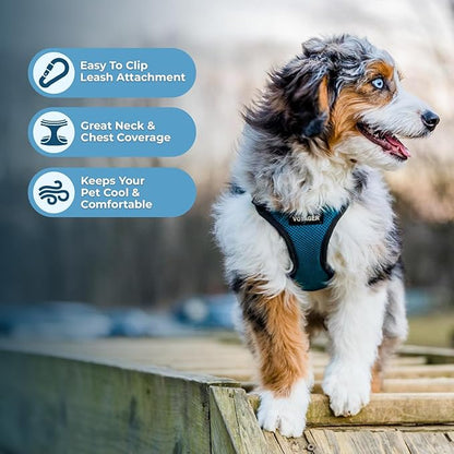 Voyager Step-in Pet Harness - All Weather Mesh, Adjustable Step in Harness for Cats and Dogs by Best Pet Supplies - Turquoise/Black Trim, M