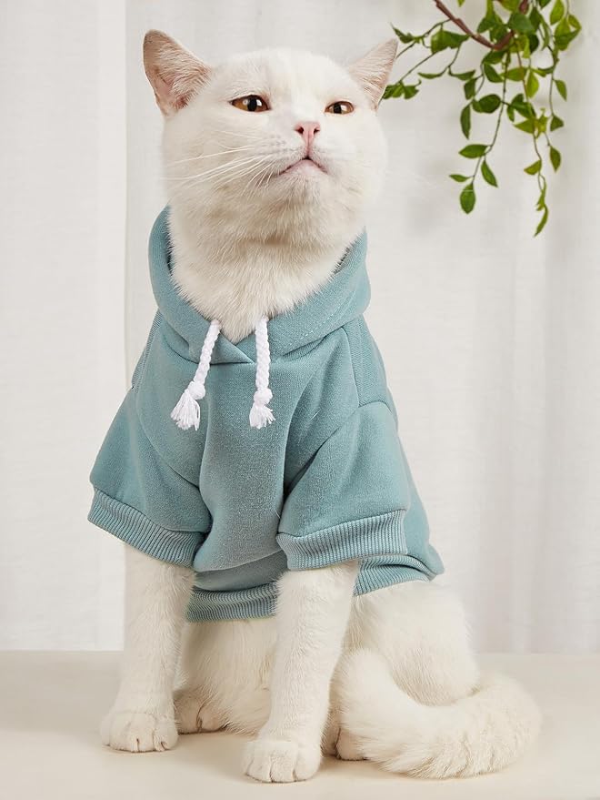 QWINEE Basic Dog Hoodie Sweatshirt Puppy Sweater Warm Cat Costumes Pet Clothes for Chihuahua Puppy Kitten Small Medium Dogs Pink and Green Medium