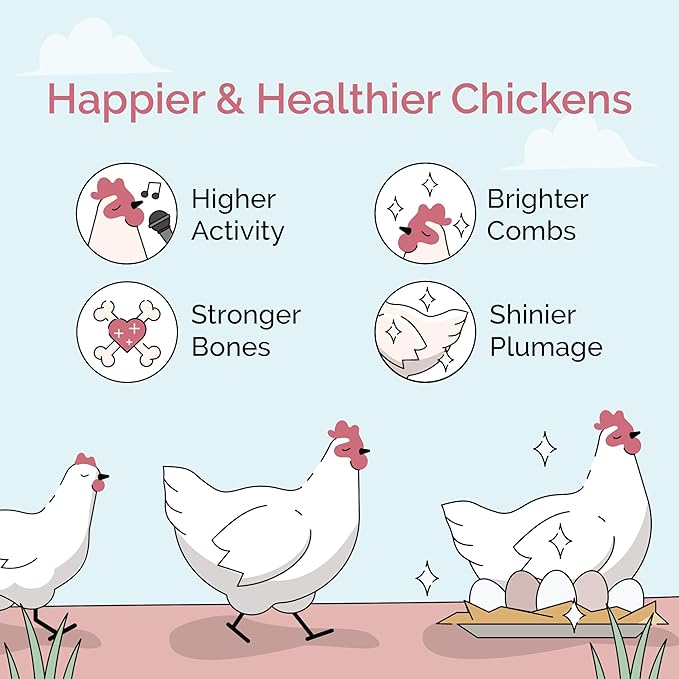 Mile Four Organic Chicken Feed (23 lbs) Layer Pellet, Non-GMO, USA Grown, 16% Protein, Corn-Free, Soy-Free, Non-Medicated Feed for Chickens