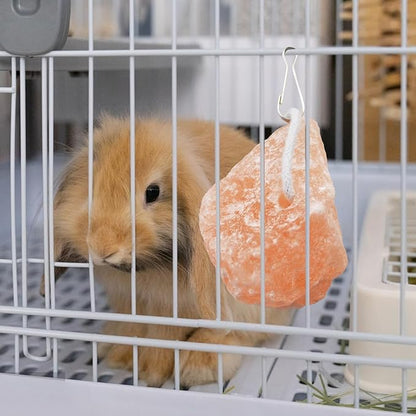 PINVNBY Salt Blocks for Rabbits,4 Pieces Himalayan Small Pets Lick Salt Block Natural Mineral Salts with Hook Hanging Small Animals Chew Toys for Horses Bunny