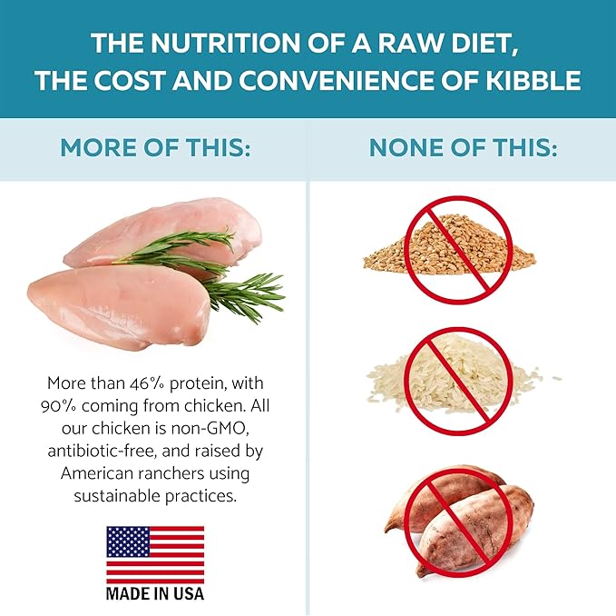 Ketona Chicken Recipe Adult Dry Dog Food, Natural, Low Carb (only 5%), High Protein (46%), Grain-Free, The Nutrition of a Raw Diet with The Cost and Convenience of a Kibble; 4.2lb