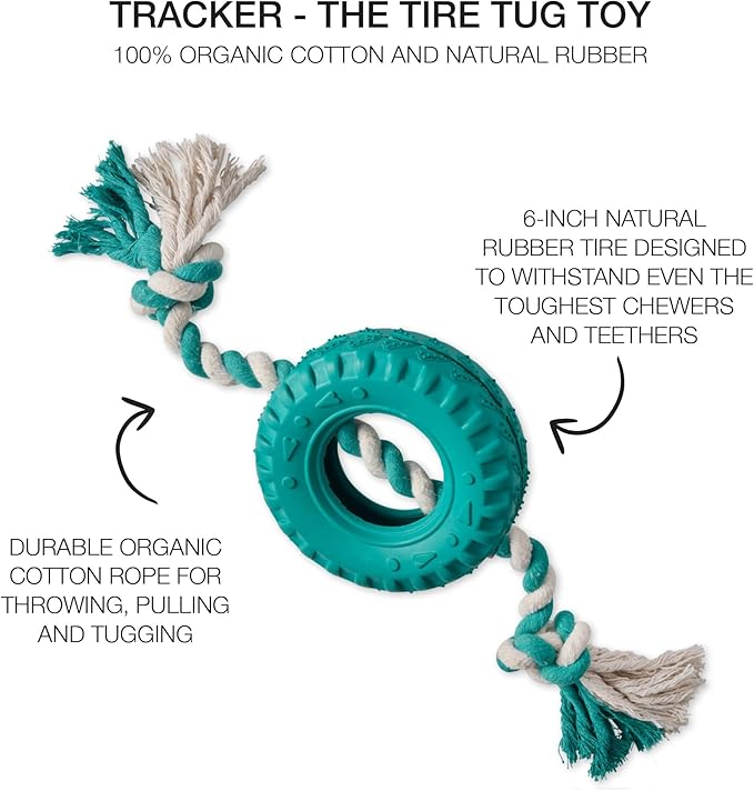 Pet Passion Natural Rubber Tire and Organic Cotton Rope Pull and Chew Dog Toy for All Pet Breeds, Teal, One Size