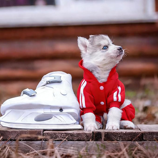 Soft & Warm Dog Outfit - Pullover Hoodie & Sweatshirt for Small, Medium & Large Dogs (Red, XX-Small)