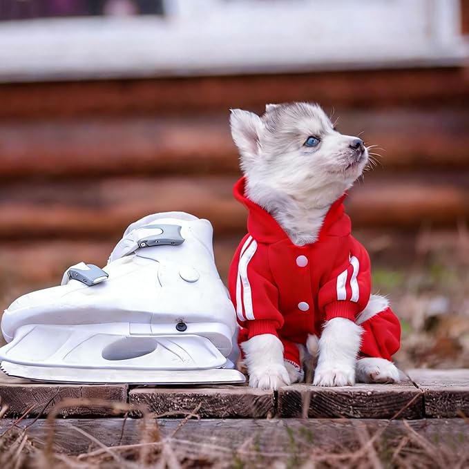 Dog Hoodie Security Clothes 4 Legs Jumpsuit Sweatshirt Hoodies Soft & Warm Dog Outfit Pullover Dog Winter Clothes Sweater for Small Medium Large Dogs Cats (Red, X-Large)
