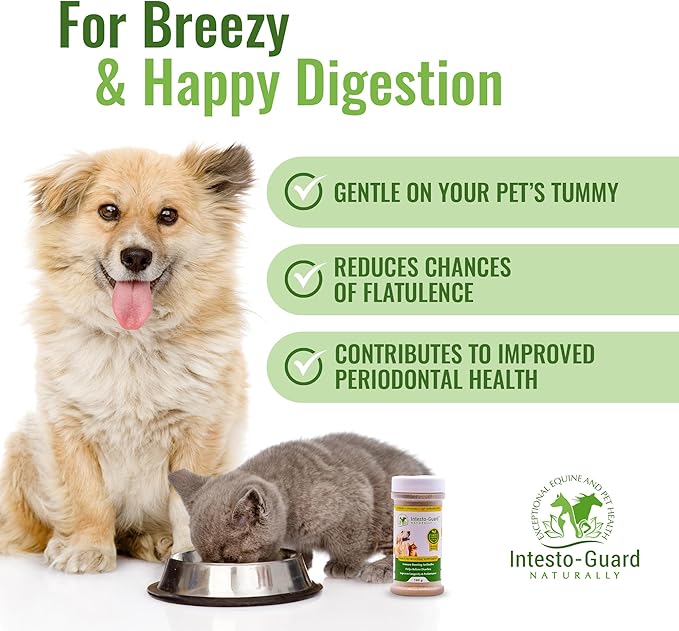 Powder Dog Probiotic, Prebiotic Puppies, No Animal By-Products, 2-Gram Scoop Contains 1.5 Billion, Digestive Health, Gut Support, Immune Boost – Vet-Formulated Powder for Maximum Potency – 180G Bottle