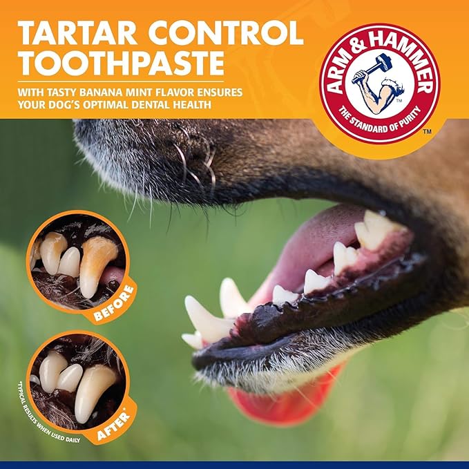 Arm & Hammer for Pets Tartar Control Dog Dental Care Kit, Dog Toothpaste Kit with Toothbrush and Finger Brush for Oral Hygiene and Fresh Breath Care, Banana Mint Flavor, 2.5 oz, 3-Piece Kit - 2 Pack