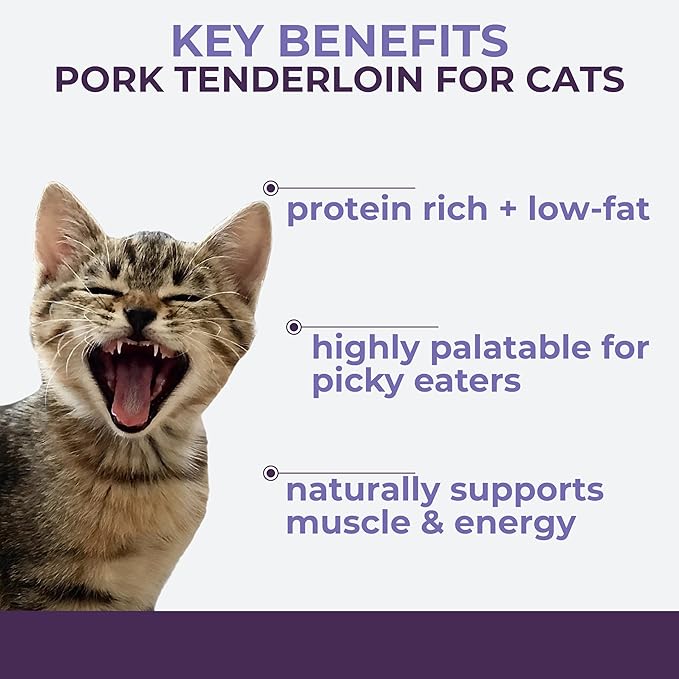 Momentum Carnivore Nutrition Freeze-Dried Pork Tenderloin Cat Treats – Single-Ingredient, High-Protein, All-Natural, Grain-Free, Lean & Naturally Tender – Made in USA – 2.5 oz Bag