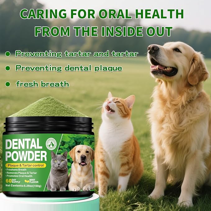 Dog Teeth Cleaning Powder - Dog Dental Powder with Enzymes & Probiotics | Plaque & Tartar Remover | Fresh Breath Treatment for Dogs | Mint Flavor - One Month Supply