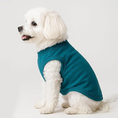 2 Pieces Dog Clothes for Small Dogs Girl Boy Spring Summer Puppy Soft Dog Shirt Solid Color Chihuahua Clothes Pet Clothing Cute Cat Cloth XXS~M (Cyan,Dark Green, Medium)