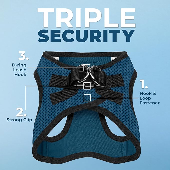 Best Pet Supplies Voyager Step-in Air All Weather Mesh Harness and Reflective Dog 5ft Leash Combo with Neoprene Handle, for Small, Medium and Large Breed Puppies - Set (Blue/Black Trim), Large