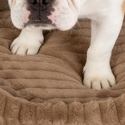Dog Bed for Extra Large Dogs, Cute XL Dog Bed with Removable Washable Cover & Anti-Slip Bottom, Soft Calming Pet Sofa Bed with Handle for Indoor Pets, 43x31x5inches, Brown