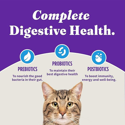 Halo Holistic Cat Food Wild Caught Whitefish Formula, Healthy Grains Dry Cat Food, For Sensitive Stomach Support, Kibble for Adult Cats, 6 lb Bag