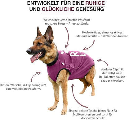 BellyGuard Dog Surgery Recovery Suit, Dog Onesie for Post-Op Care, Recovery Apparel for Female and Male, Surgical Body Cover for Canine Healing Support