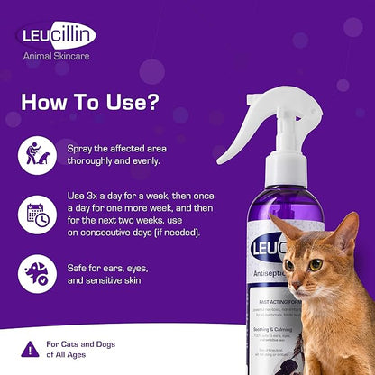 Leucillin Natural Antiseptic Dropper for Dogs, Soothes Itchy Skin and Promotes Healing, Effective Treatment for Dogs, Wound and Skin Care Solution for Pets, First Aid Kit Essential - 50ml
