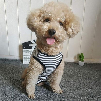 Dog’s Recovery Suit Post Surgery Shirt for Puppy, Wound Protective Clothes for Little Animals(Black White Stripe-l)