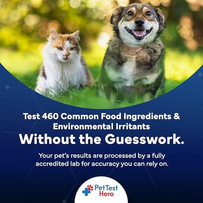 Better Life Science Pet Food & Environmental Sensitivity Hair Sample Testing Kit – Over 460 Items Tested – at-Home Non-Invasive Collection for Dogs & Cats – Informational Report for Pet Owners