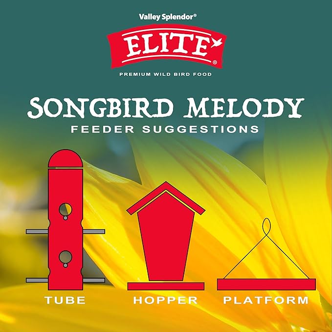 Songbird Melody