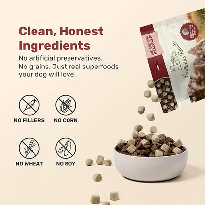 BADLANDS RANCH Superfood Nuggets – Freeze-Dried Raw Dog Treat & Food Topper, Nutrient-Dense Bison & Kale Formula, No Artificial Additives, 8oz Bags (4-Pack Bundle)