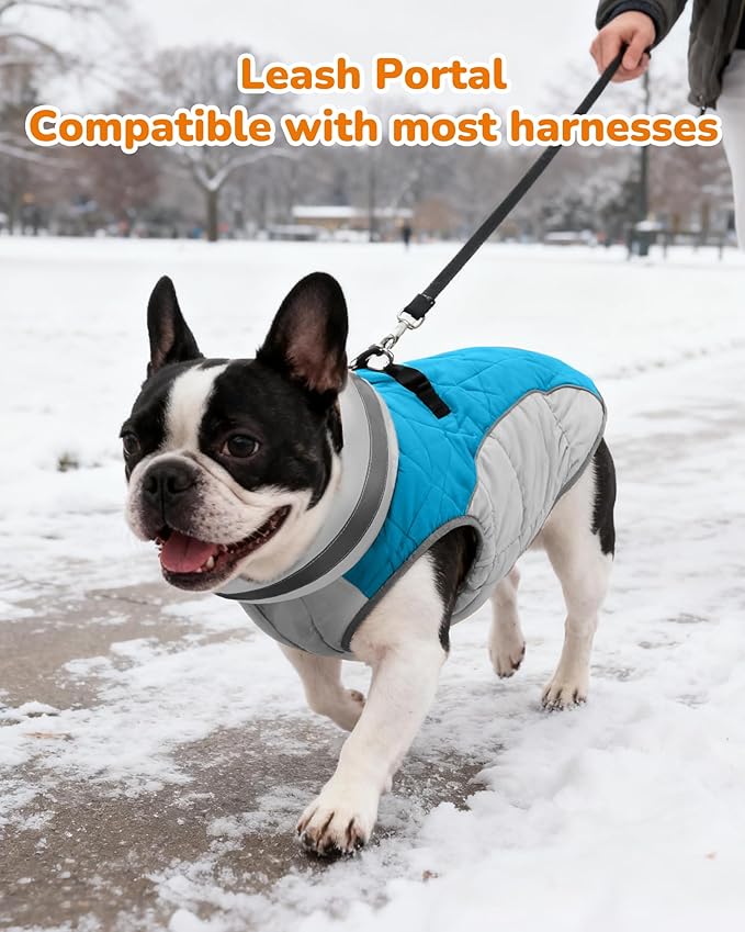 Dog Winter Coat for Medium Dogs, Adjustable Puppy Warm Jackets in Cold Weather, Reflective Pet Fleece Vest with External Attachment Points, ZippeBlue Cold-Weather Dog Winter Clothes, M Blue
