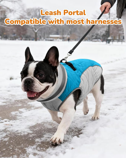Dog Winter Coat for Small Dogs, Adjustable Puppy Warm Jackets in Cold Weather, Reflective Pet Fleece Vest with External Attachment Points, ZippeBlue Cold-Weather Dog Winter Clothes, S Blue