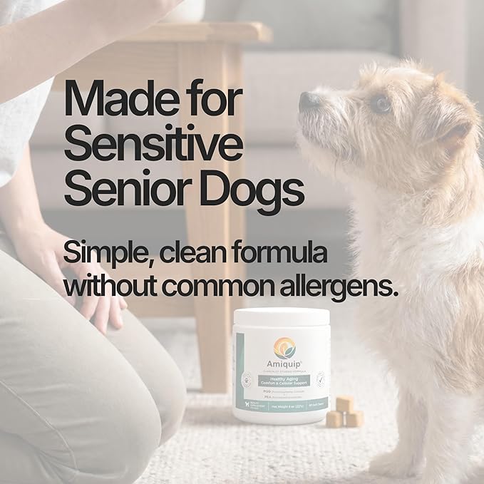 Amiquip Senior Dog Supplement – Joint Support, Cellular Vitality & Longevity for Healthy Aging – 90-Day Soft Chews with PQQ + Palmitoylethanolamide