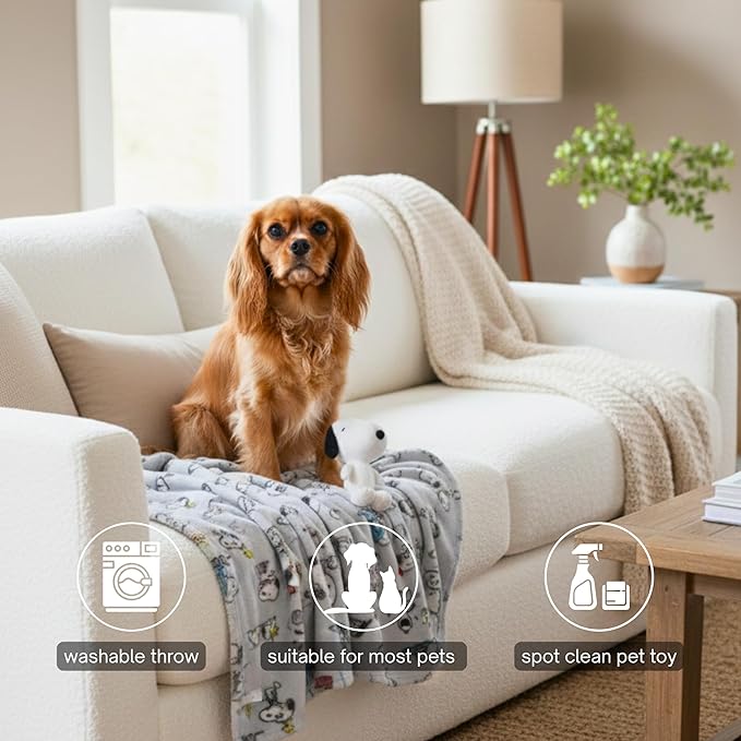 Snoopy Peanuts® Dog Blanket & Pillow Set, 40x50, Machine Washable Super Soft Cozy Throw for Pets & Cats (Officially Licensed Product) by Franco Pet