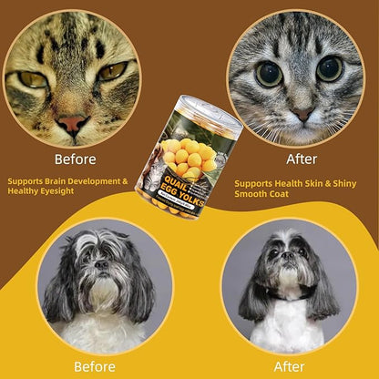 Dehydrated Quail Egg Yolk Snacks for Cats and Dogs Training 240g（8.46oz, Natural Dog Food Limited Ingredient, Healthy Tasty Freeze-Dried Pet Treats for Dogs Cats