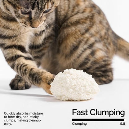pidan Cassava Cat Litter clumping,Odor Control,Plant-Based Natural Ingredients,Ultra Absorbent and Fast Drying,No Dust,Unscented(5.3lb×1bag)